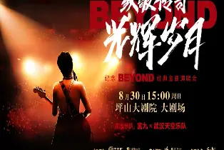 深圳坪山大劇院致敬傳奇·光輝歲月紀念Beyond經典金曲演唱會（8月30日深圳站單人票）
