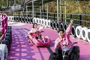佛山高明碧桂園鳳凰酒店雅緻景觀房（盈香心動樂園 粉色飛車 樹上漂流）