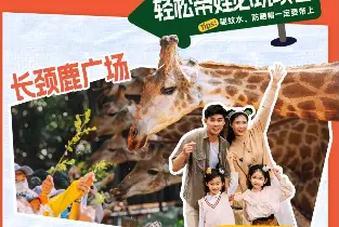 廣州珠海清遠區長隆門票（2大1小 2大2小親子家庭票）