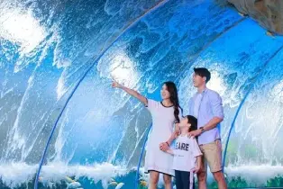Zhengjia Polar Oceanarium Family Ticket (2 Adults + 1 Child All-You-Can-Eat + All-You-Can-Play + 3 Hours Free Parking)
