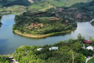 Tak Fok Estate (6 Hours in the Treehouse Woods - 2 Adults & 2 Kids incl. Chirpy Chirpy Pine Forest Park + Real-person CS + Jungle Trek)