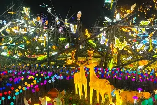烏魯木齊武俠城（火把狂歡節單人早鳥票 單人特惠門票 雙人特惠門票）