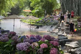 佛山高明柿橙了藝術度假區 一票暢玩（14大遊玩項目+竹溪露營+親子樂園+漿板玩水+溯溪徒步+每日6大活動）