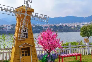 佛山高明碧桂園雅緻景觀客房（雙早雙晚 自助早餐 海鮮自助晚餐 泳池暢遊 古風遊戲 全新升級大草坪）