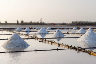臺南：七股鹽山＆赤崁樓＆安平古堡一日遊