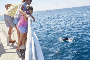 史蒂芬斯港私人一日遊