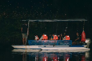 公主港伊瓦西螢火蟲觀賞之旅