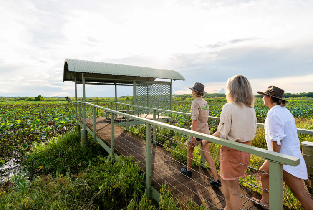 卡卡杜國家公園探險之旅