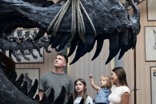 阿姆斯特丹 Art Zoo Museum 門票