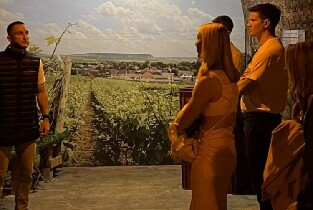 正宗香檳之旅：3個葡萄園、10次品酒和午餐