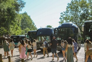 從巴黎出發，前往吉維尼的莫奈基金會和印象派博物館之旅