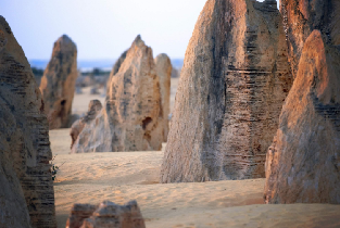 尖峰石陣、揚切普國家公園和天鵝谷之旅