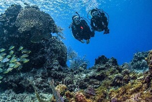 科隆島 PADI 潛水度假村二戰殘骸遺跡潛水員課程