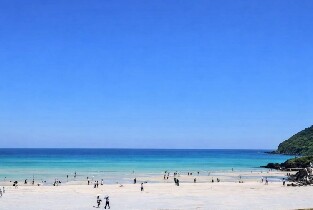濟州一日遊：UNESCO 世界遺產與必訪景點 (東/西南區)