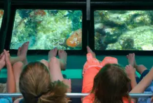 佛羅裏達基韋斯特島遊覧（乘坐玻璃底船）