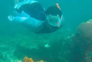 佛羅裏達州礁島羣雙重浮潛之旅