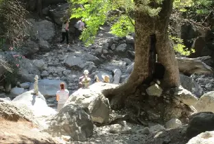 產品圖片