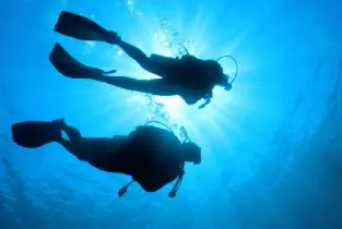 Sid: Mediterranean Scuba Diving Tour (with Lunch)