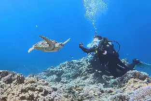沖繩慶良間島持証潛水&浮潛體驗 (廣東話教練)