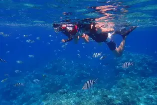 Okinawa Sea Snorkeling Experience