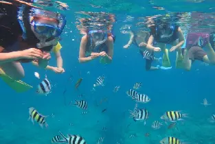Naha Kerama Half-Day Snorkeling Experience