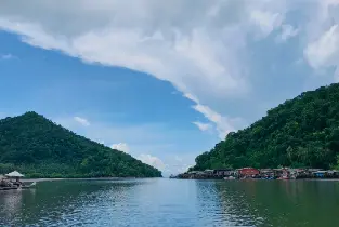 Koh Chang Mangrove Kayaking Experience (Salak Kok Seafood Restaurant)