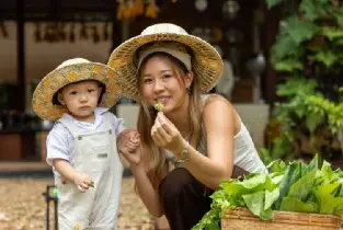 攀牙府考拉克「Yakrit 烹飪課程」