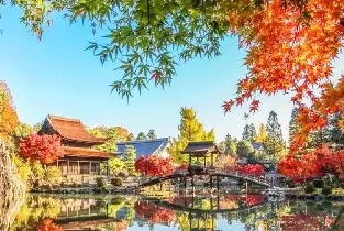 2026小原四季櫻節&香嵐溪&虎溪山永保寺賞楓一日遊