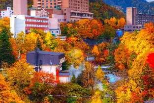 2026北海道賞楓：洞爺湖定山溪温泉&羊蹄山名水公園&洞爺湖昭和新山熊牧場一日遊