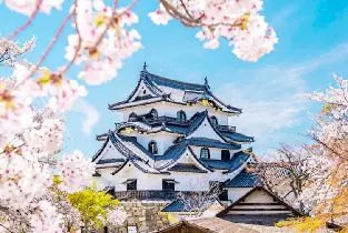 【大阪出發】2026彥根城賞櫻&比叡山賞楓&遊船&玩雪&La Collina 近江八幡&奈良一日遊