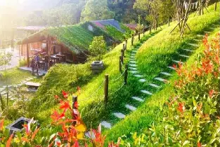 高鐵國旅聯票｜苗栗哈比丘