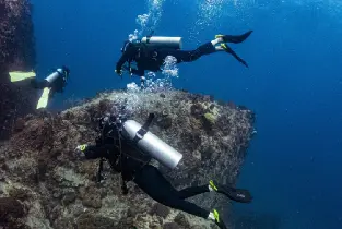 龜島開放水域課程體驗