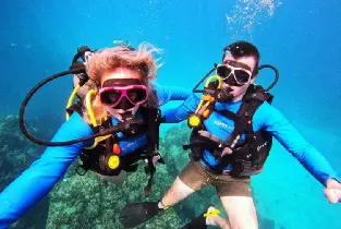 龜島 PADI 潛水中心潛水方案
