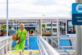 HOPO Gold Coast Cruise Experience & Sea World Ticket