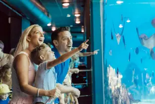 Marine World Whale Watching Experience (Includes Marine World Admission Ticket)