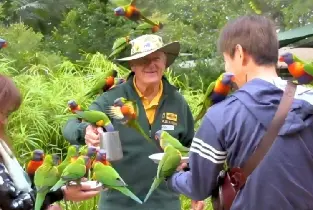 Gold Coast Currumbin Wildlife Sanctuary & Byron Bay Day Tour
