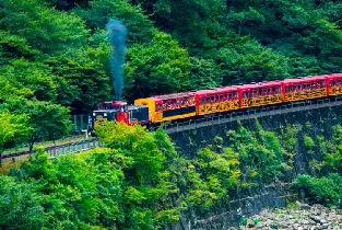 嵐山小火車車票