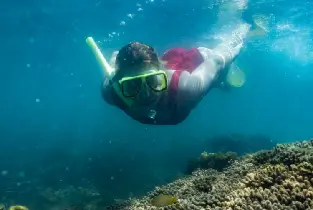 磁島生態浮潛探索之旅