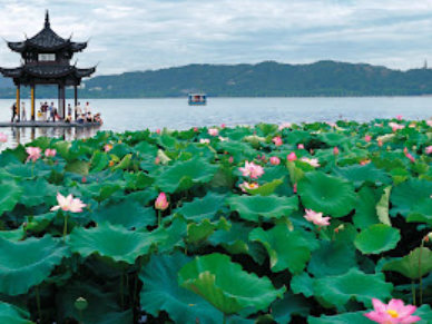 大圖