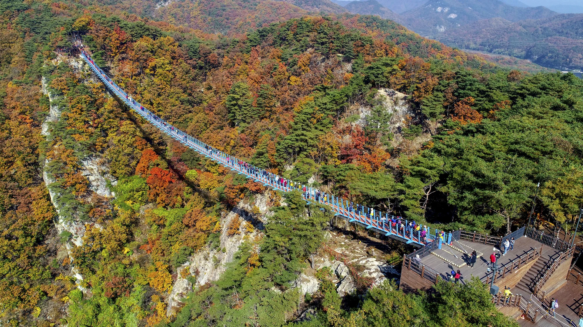 大圖