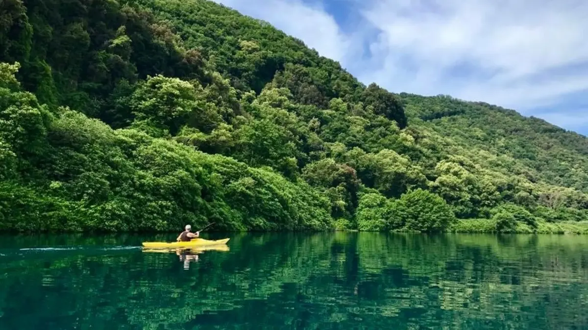 大圖