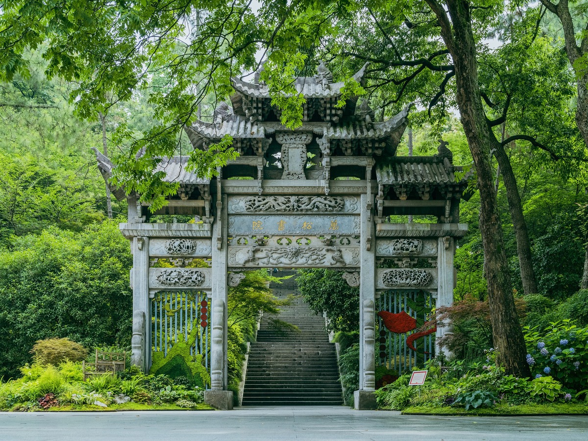 大圖