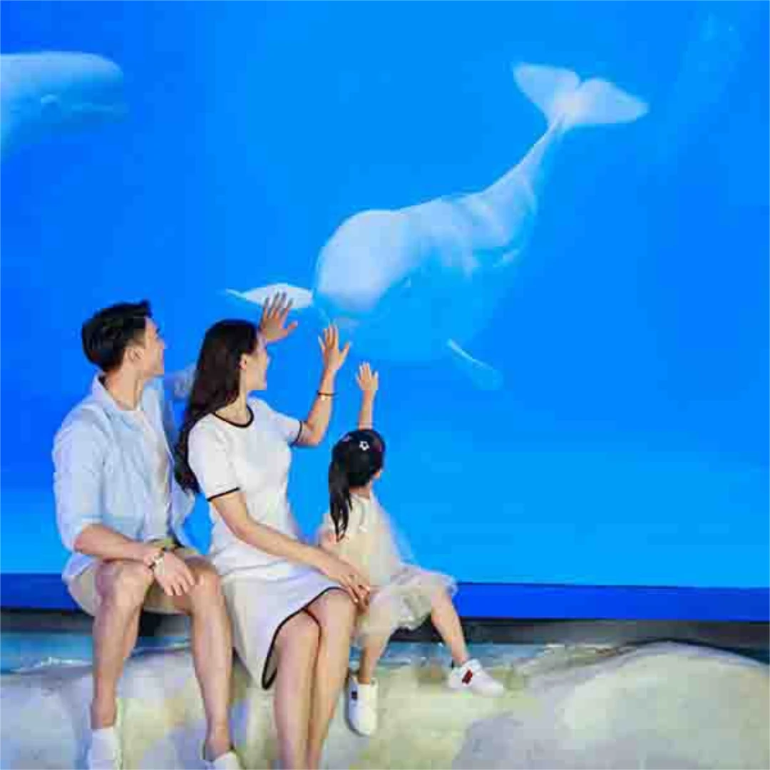 大圖