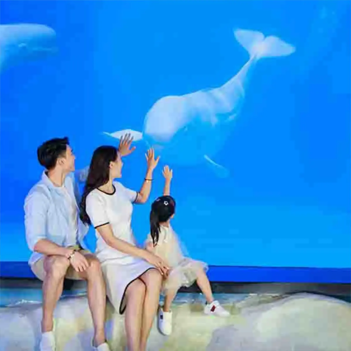大圖