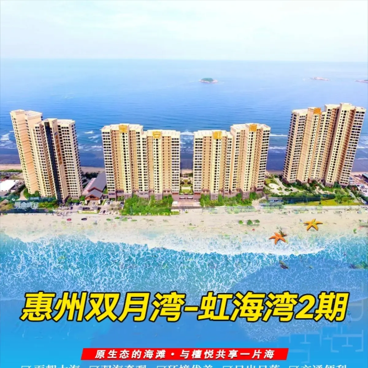 大圖