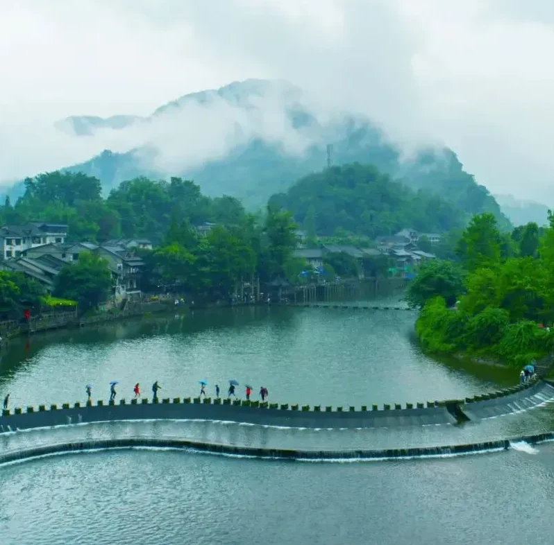 大圖