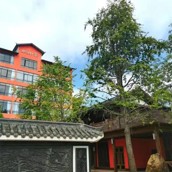 大圖