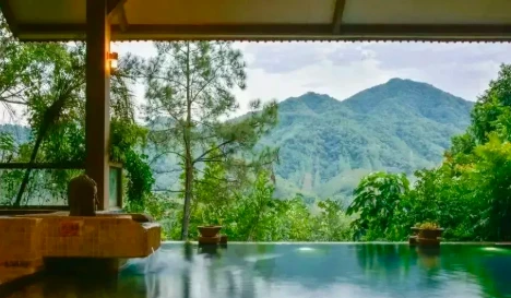 大圖