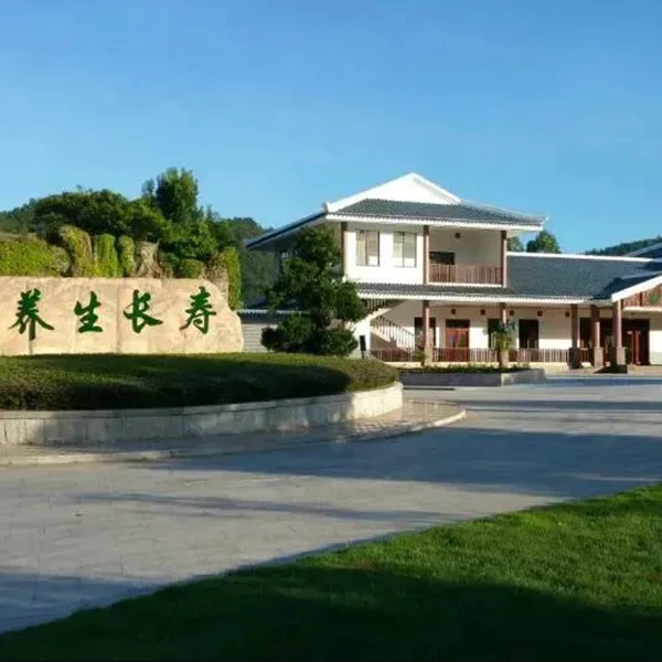 大圖