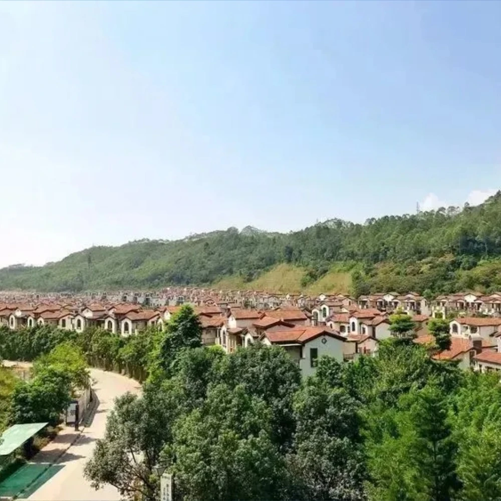 大圖